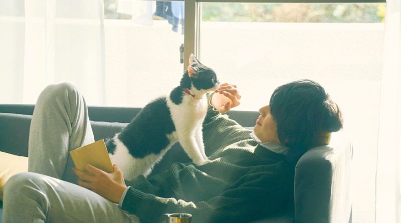 영화 고양이 여행 리포트
