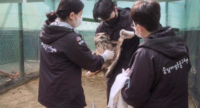 영화 생츄어리 스틸컷