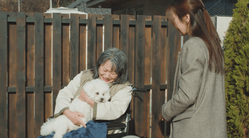 영화 해피해피 스틸컷