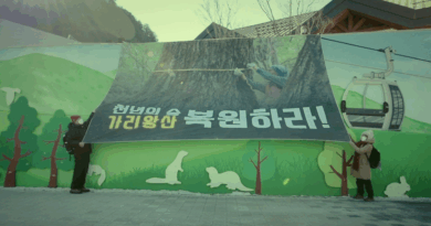 다큐멘터리 영화 종이 울리는 순간 스틸컷