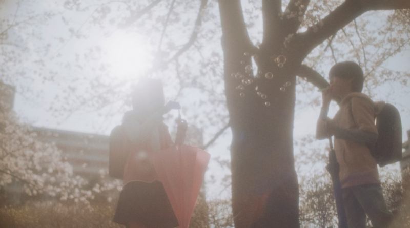 영화 초속 5센티미터 스틸컷