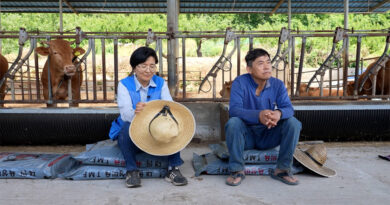 영화 빨간 나라를 보았니 스틸