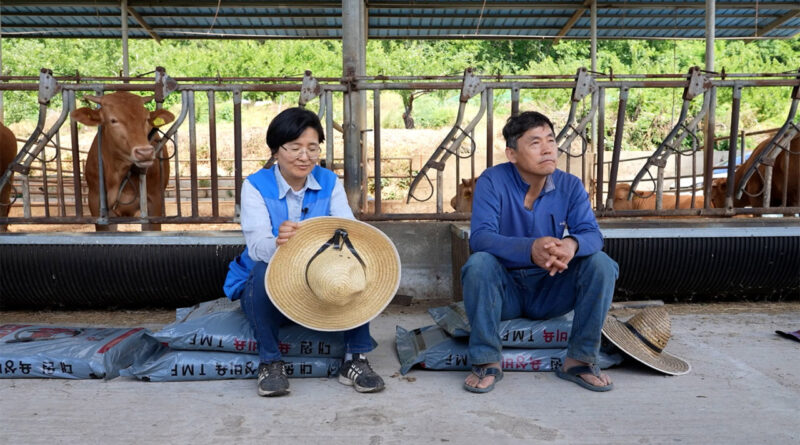 영화 빨간 나라를 보았니 스틸
