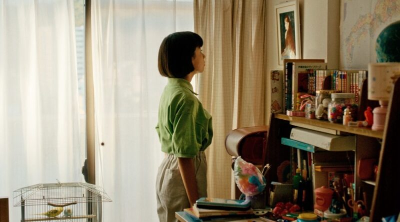 영화 르누아르 스틸컷