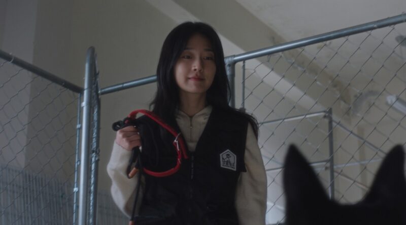 영화 훈련사 스틸컷