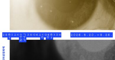 제28회 서울국제여성영화제 포스터